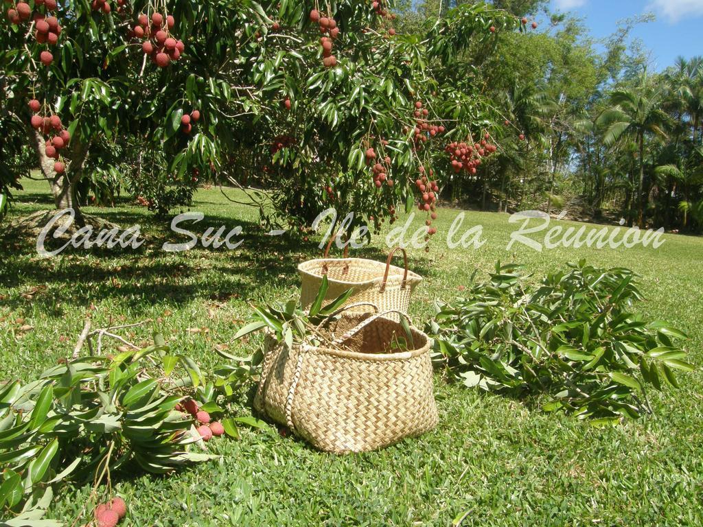 Cana Suc Sainte-Rose Exterior foto